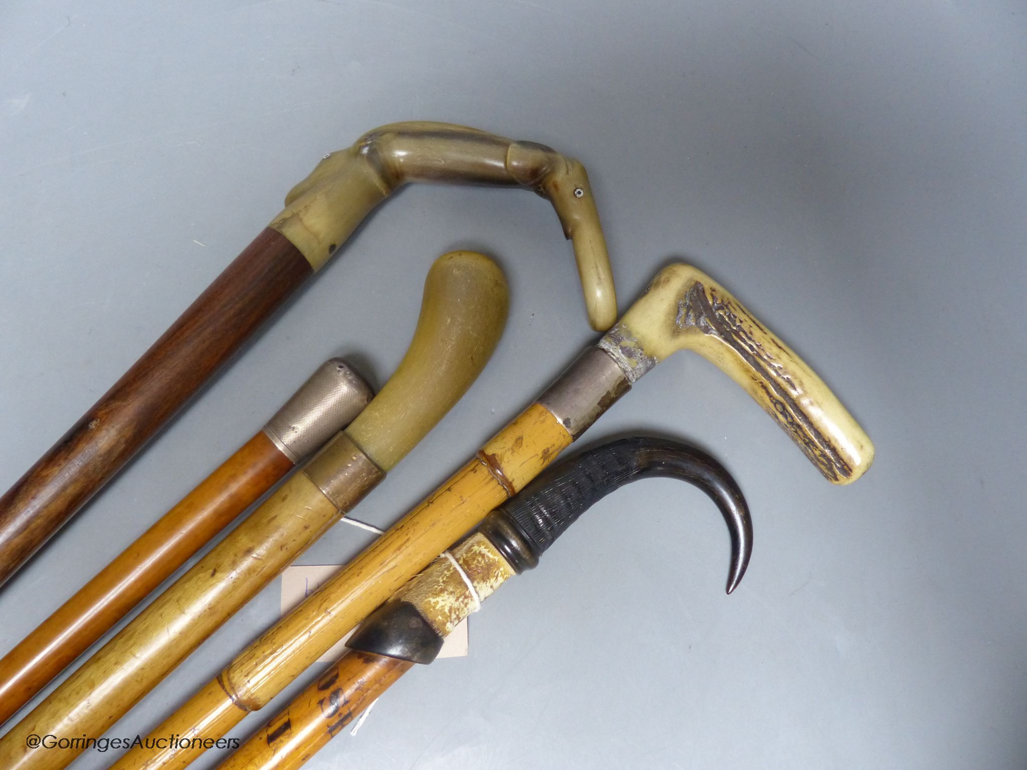 Five various walking sticks: three horn-handled, one silver-mounted and the other antler